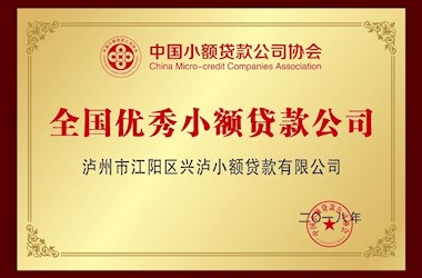 2018年度全国优秀小额贷款公司