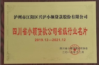 四川省小额贷款公司省级行业名片